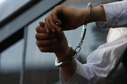 دستگیری قطع کننده درخت در الهیه