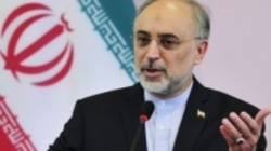 رئیس سازمان انرژی اتمی ایران به وین سفر کرد