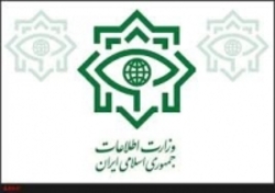 شناسایی و انهدام باند قاچاق سازمان‌ یافته ارز در استان هرمزگان
