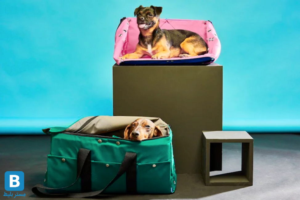 چگونه با حیوان خانگی خود سفر کنیم؟ چگونه با حیوان خانگی خود سفر کنیم؟