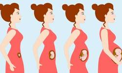 تغییرات بدن و رژیم غذایی در سومین ماه بارداری
