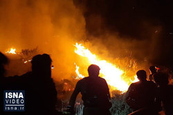 آتش سوزی گسترده در ضلع شرقی پلاسکو قدیم