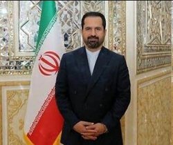 تاکید سفیر ایران و قائم مقام وزیر خارجه برزیل بر توسعه روابط دو کشور