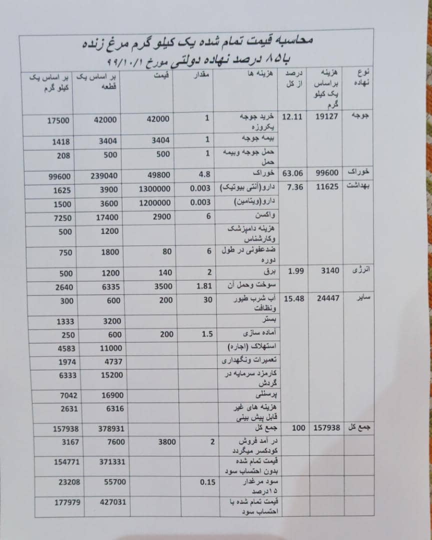 کف قیمت مرغ زنده به ۴۲ هزار تومان رسید کف قیمت مرغ زنده به ۴۲ هزار تومان رسید