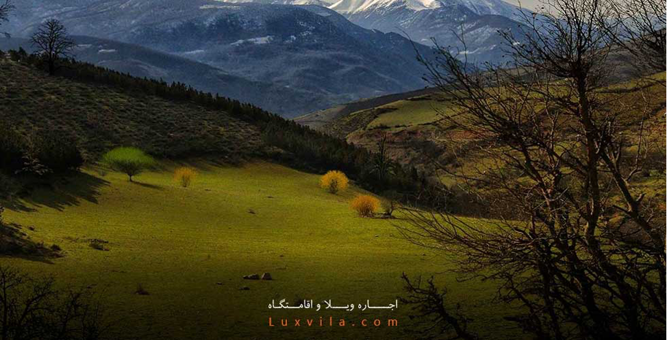 اجاره ویلا در کلاردشت با پروتکل های بهداشتی لوکس ویلا اجاره ویلا در کلاردشت با پروتکل های بهداشتی لوکس ویلا