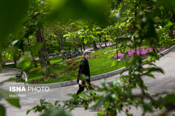 ۱۵ باغ شهری تهران بوستان می شود