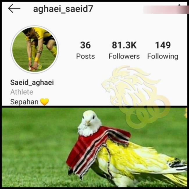 بازیکن جنجالی سپاهان در دیدار برابر پرسپولیس: کار بسیار زشتی کردم! +عکس بازیکن جنجالی سپاهان در دیدار برابر پرسپولیس: کار بسیار زشتی کردم! +عکس