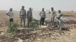 آتش‌سوزی در منطقه حفاظت شده مُند استان بوشهر مهار شد