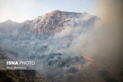 آتش سوزی  خائیز  و  دیل  کهگیلویه و بویراحمد همچنان ادامه دارد