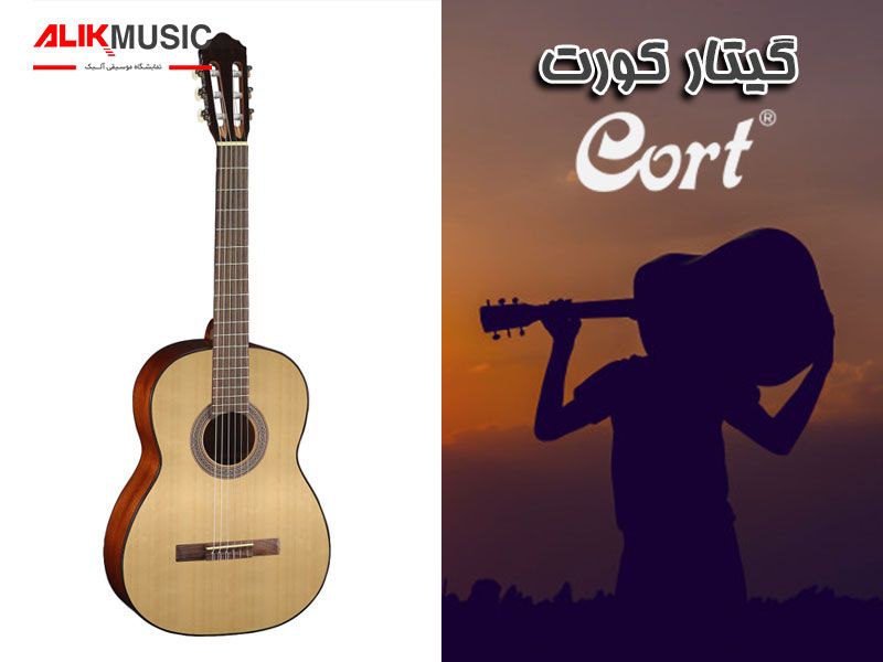 سه برند معتبر تولید کننده گیتار کلاسیک را بشناسید سه برند معتبر تولید کننده گیتار کلاسیک را بشناسید