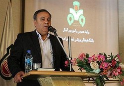 جمشیدی: رادولوویچ می‌خواهد به ایران برگردد  با مربیان دیگر مذاکره نکرده‌ایم