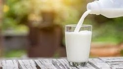 پالم در لبنیات ممنوع   هشدار نسبت به مصرف شیرهای غیر پاستوریزه