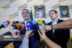 انتقاد شدید معاون وزیر خارجه از پرونده‌سازی‌های آمریکا علیه اتباع ایرانی