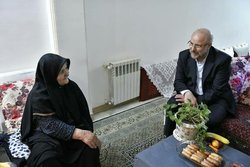 روایت رئیس مجلس از دیدار با مادر شهید شاه‌آبادی