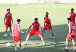تمرین امروز پرسپولیس تعطیل شد