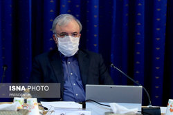 وزیر بهداشت:محرمی با شکوه همراه با صیانت از سلامت مردم خواهیم داشت