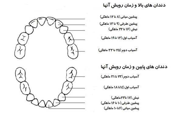 چگونه مراقب دندان&zwnj;های کودکان باشیم؟