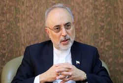 رئیس سازمان انرژی اتمی ایران: خسرو آواز ایران به دیار معشوق شتافت