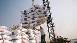 دردسر‌های ممنوعیت واردات برنج  ۵۰ میلیون نفر توان خرید برنج ایرانی را ندارند