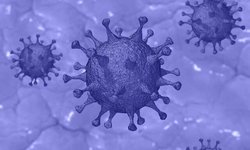 چند سرنخ احتمالی برای تشخیص کرونا از آنفلوآنزا