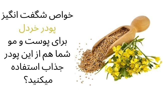 خواص حيرت انگيز پودر خردل برای مو، پوست و سلامتی شما خواص حيرت انگيز پودر خردل برای مو، پوست و سلامتی شما