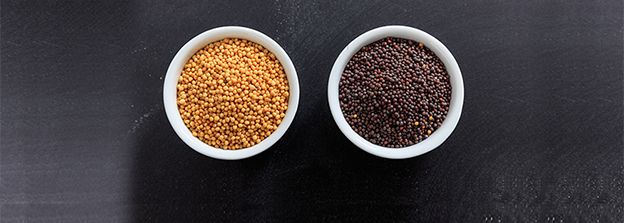 خواص حيرت انگيز پودر خردل برای مو، پوست و سلامتی شما خواص حيرت انگيز پودر خردل برای مو، پوست و سلامتی شما