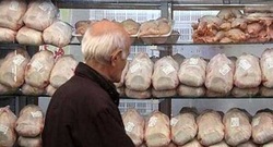 چرایی افزایش قیمت مرغ از زبان یک عضو کمیسیون کشاورزی مجلس