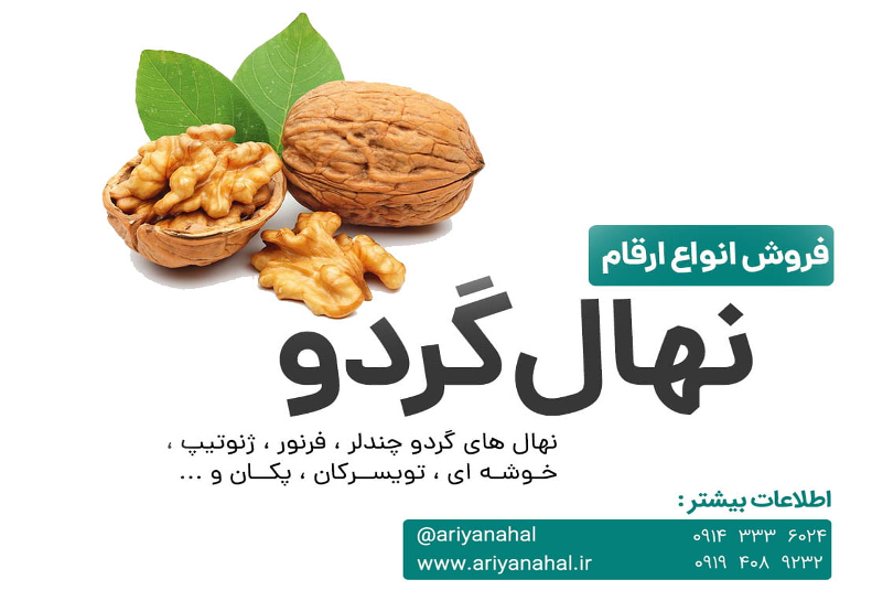 نکات خرید نهال گردو و (لیست قیمت در اسفند 1399) نکات خرید نهال گردو و (لیست قیمت در اسفند 1399)