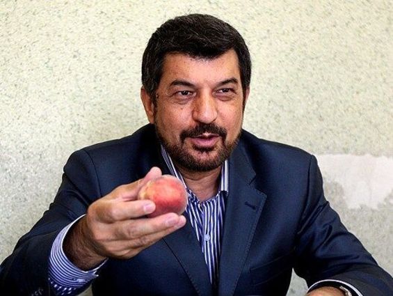 مجری پیشین رادیو و تلویزیون: استقلال خودش را با تیم های میانه جدول مقایسه کند نه با پرسپولیس