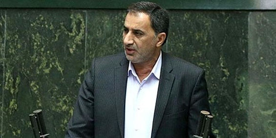 نماینده مجلس: دولت به جای حذف ارز ترجیحی با گلوگاههای فسادخیز آن برخورد کند