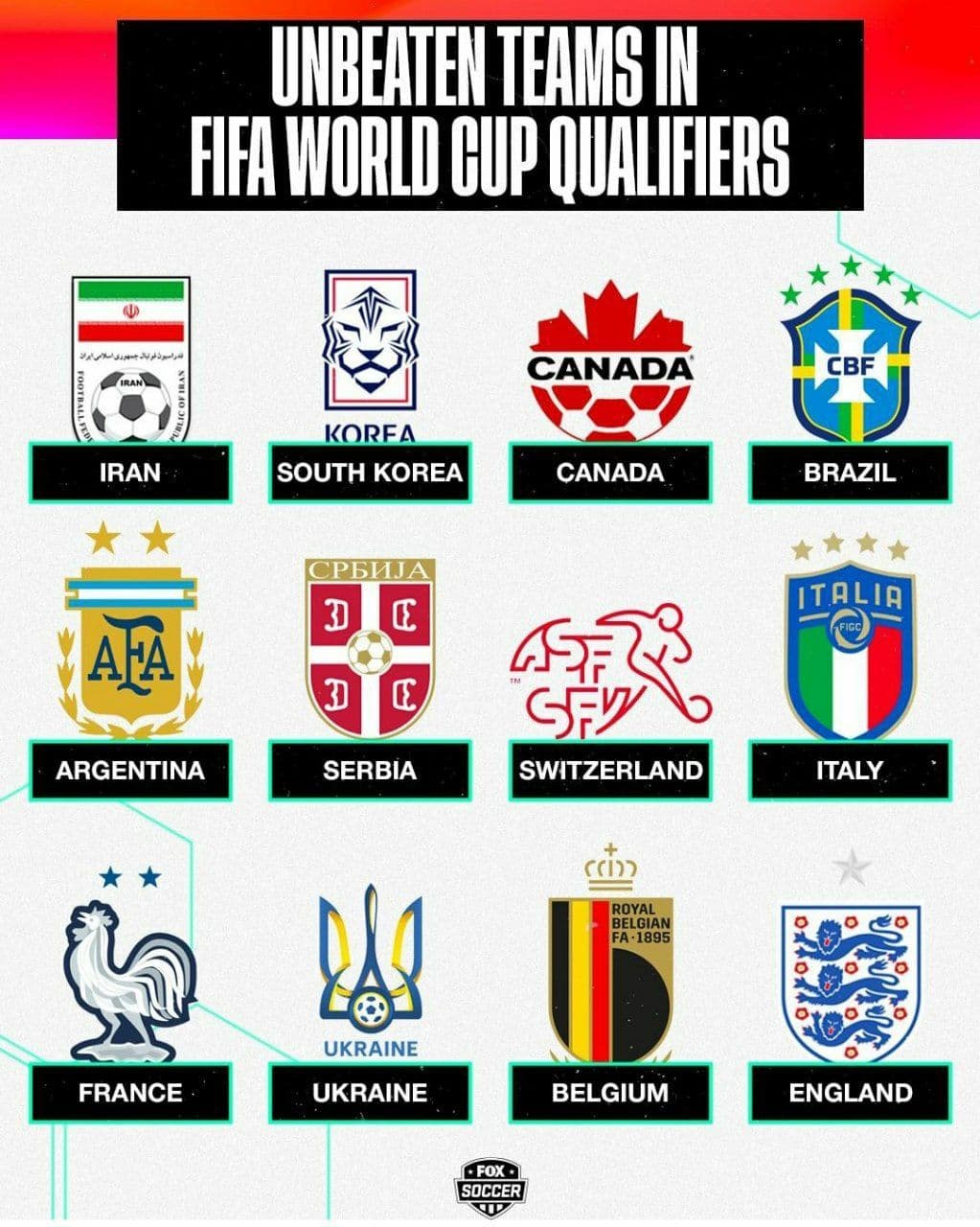 تیم&zwnj;ملی در بین ۱۲ تیم بدون شکست در راه جام&zwnj;جهانی/عکس