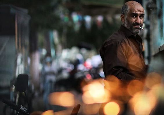 یک پرسپولیسی سگ فروش شد!