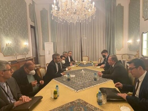 در دیدار باقری کنی و اولیانوف چه گذشت؟