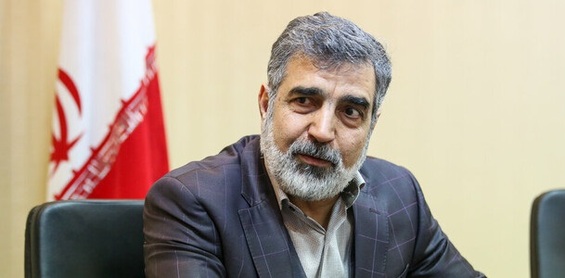 توضیح کمالوندی درباره سفر گروسی به ایران