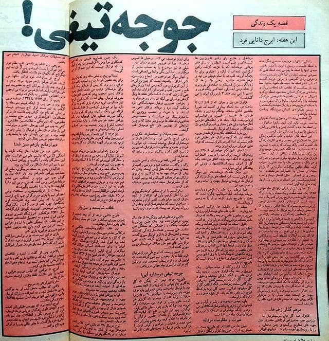 جوجه تیغی فوتبال ایران/عکس