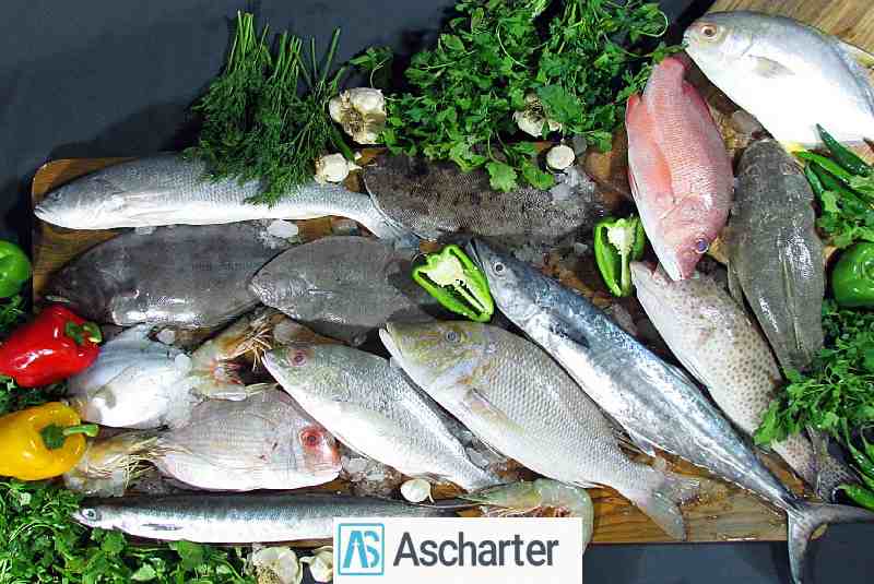 معرفی سوغات آبادان با خرید بلیط هواپیما چارتر معرفی سوغات آبادان با خرید بلیط هواپیما چارتر