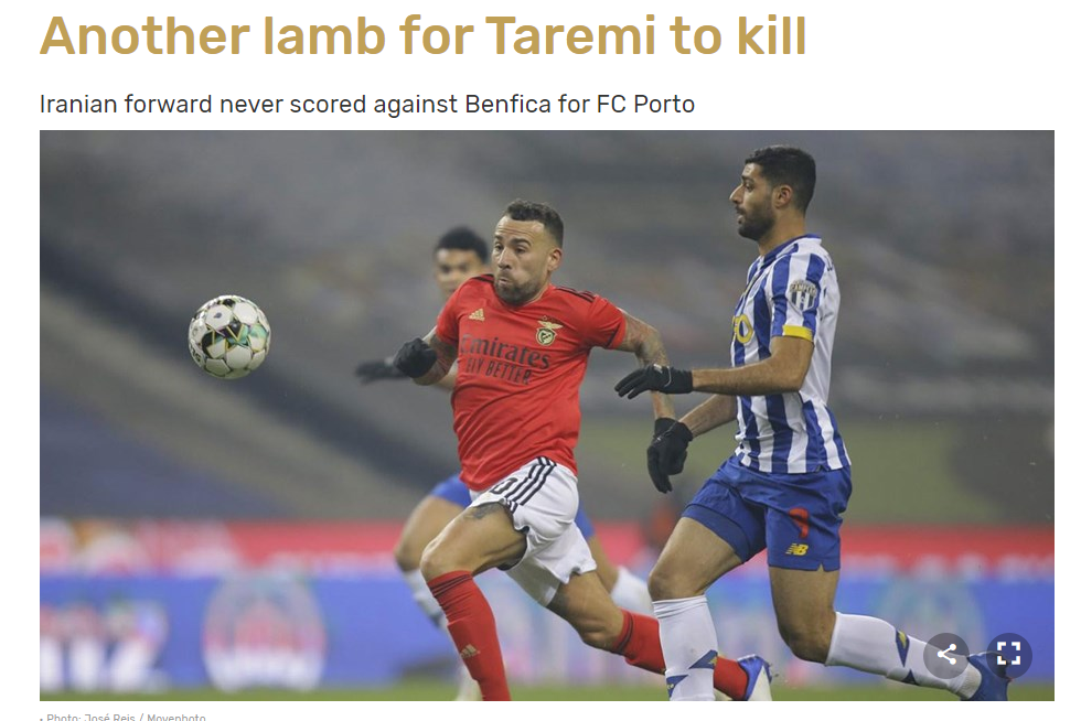 رسانه پرتغالی: طارمی به دنبال کشتن برهای دیگر رسانه پرتغالی: طارمی به دنبال کشتن برهای دیگر