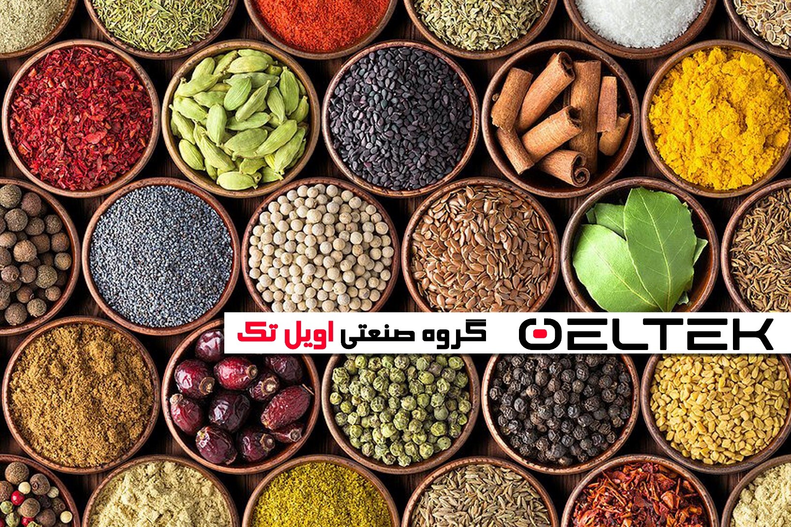 آسیاب خانگی بست 100 گرمی