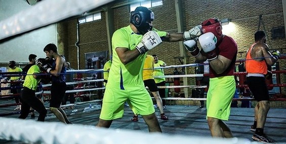 شاگردان استکی در تاشکند/ اردوی مشترک تیم ملی بوکس ایران با ازبکستان