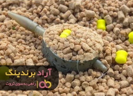 چطور رویاهایم را به واقعیت بدل کردم چطور رویاهایم را به واقعیت بدل کردم