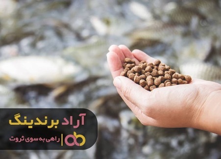 چطور رویاهایم را به واقعیت بدل کردم چطور رویاهایم را به واقعیت بدل کردم