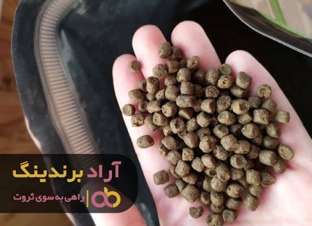 چطور رویاهایم را به واقعیت بدل کردم چطور رویاهایم را به واقعیت بدل کردم