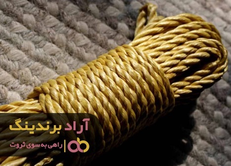 طناب من را به سمت ثروت کشاند