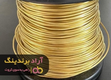 افکار منفی و پوچ را رها کردم و با تغییرات ثروتمند شدم