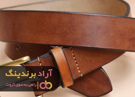 کمر بند همت را بستم