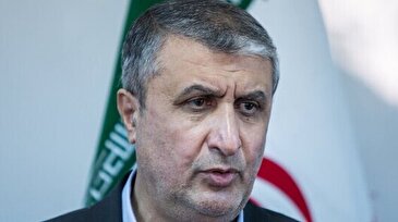 اسلامی: گروسی رفتار حرفه‌ای را حفظ کند/ آژانس، بخشی از جریان فشار علیه ایران نباشد