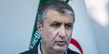 اسلامی: با آژانس هیچ بن‌بستی نداریم/ برنامه تنظیم سفر گروسی به ایران در دستور کار است
