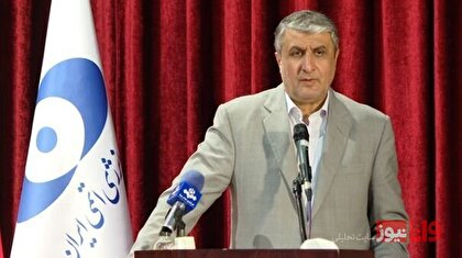 اسلامی: سفر گروسی به تهران بر اساس تکلیف شورای امنیت به آژانس است