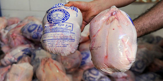 قیمت مرغ در خرده فروشی های سطح کشور کاهش یافت