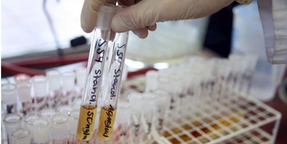 بررسی پرونده ۵ ورزشکار دوپینگی و صدور رای